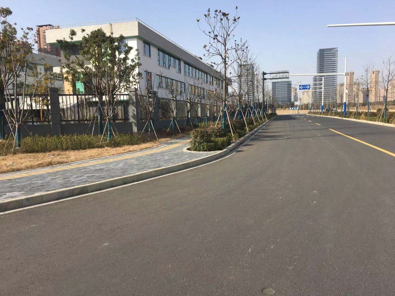 丰阳路道路项目.jpg